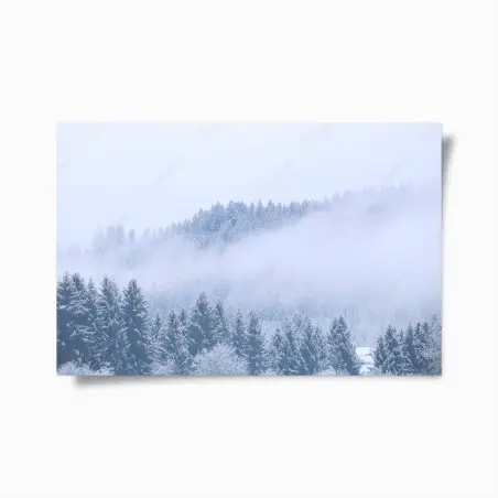 Poster forêt hivernale en brume, Allemagne – Wallnifity®