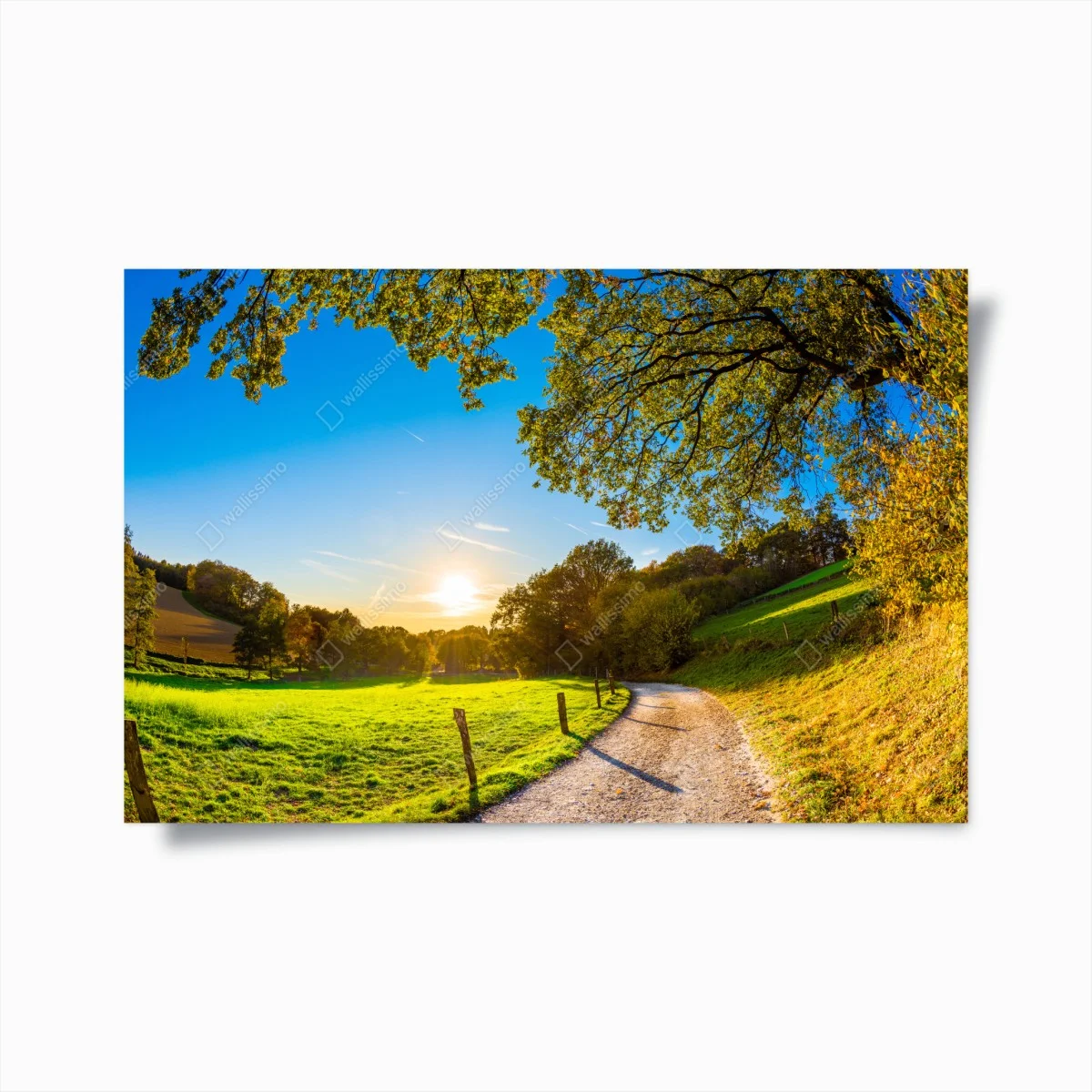Poster chemin ensoleillé au coucher du soleil – Wallnifity® Poster chemin ensoleillé au coucher du soleil – Wallnifity®