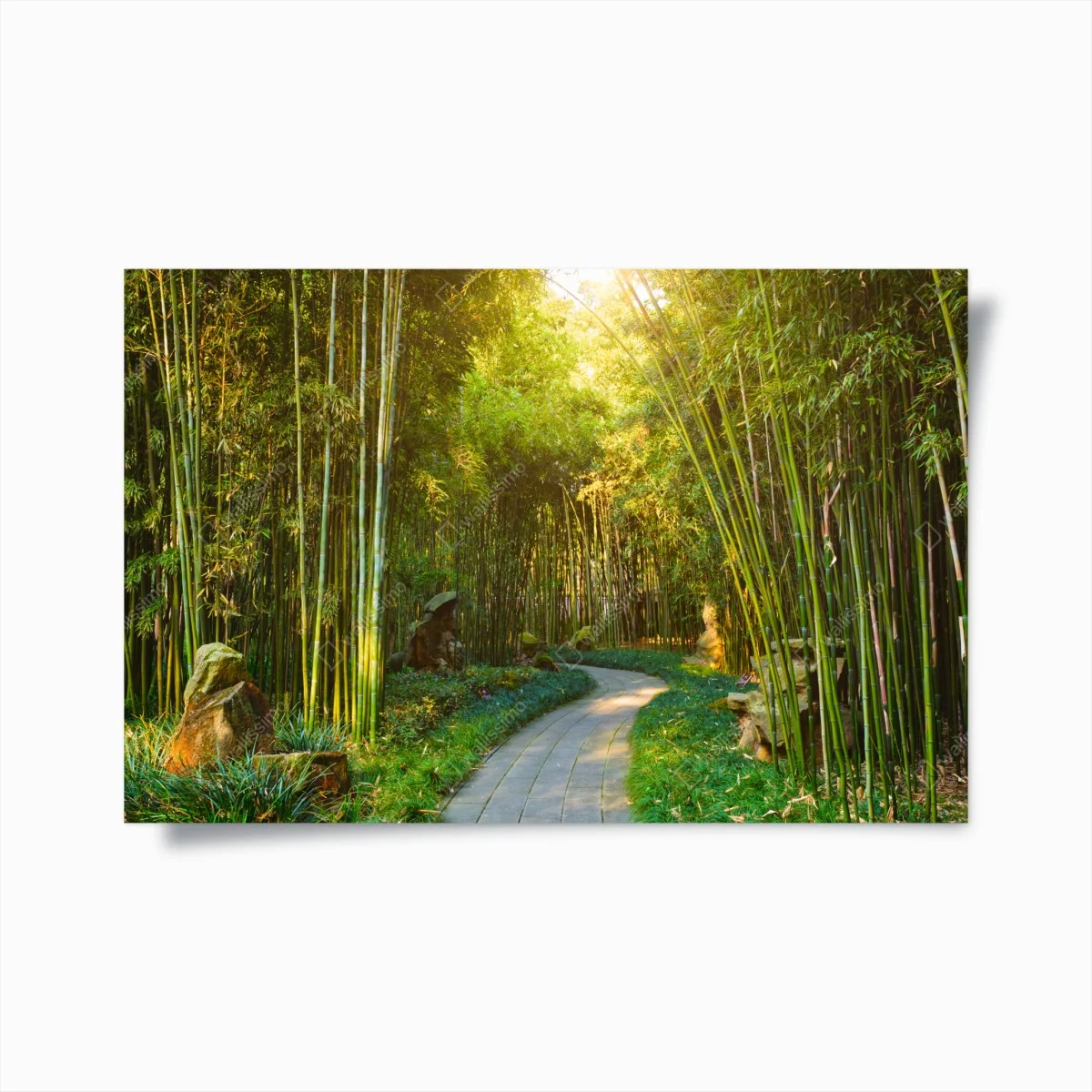 Poster sentier paisible dans une forêt de bambous – Wallnifity® Poster sentier paisible dans une forêt de bambous – Wallnifity®