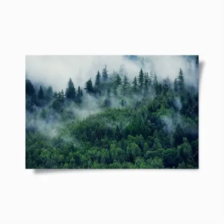 Poster forêt embrumée aux nuances de vert – Wallnifity®