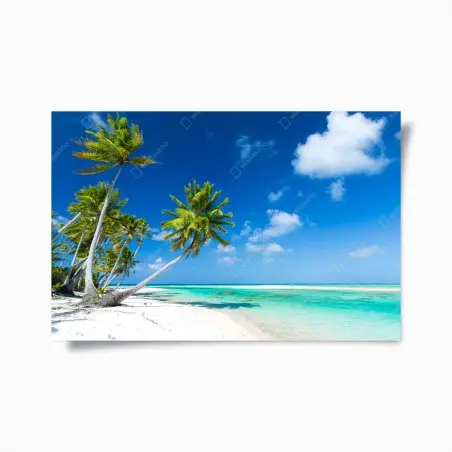 Poster rêve de plage tropicale aux palmiers – Wallnifity®