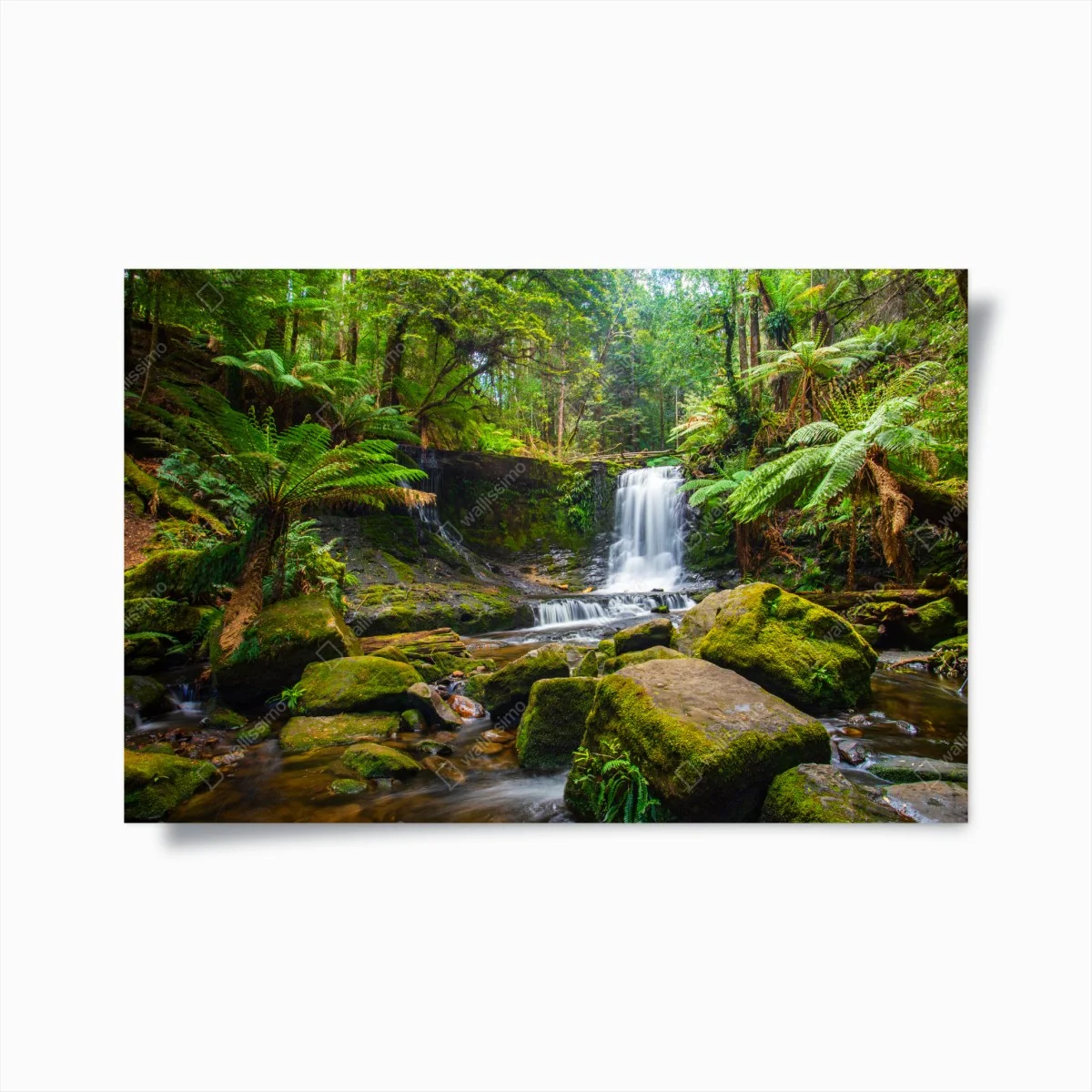 Poster cascade tranquille au cœur d'une forêt verdoyante – Wallnifity® Poster cascade tranquille au cœur d'une forêt verdoyante – Wallnifity®