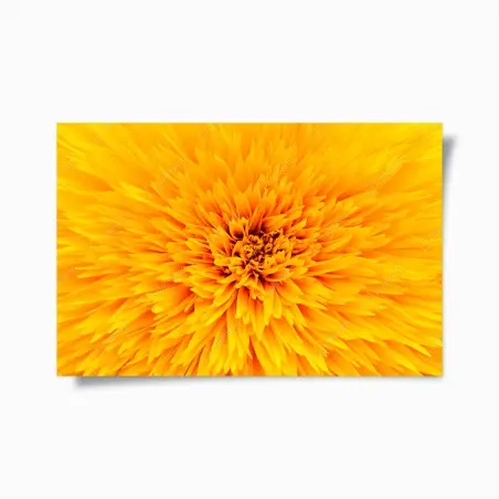 Poster éclat de tournesol en macro – Wallnifity®