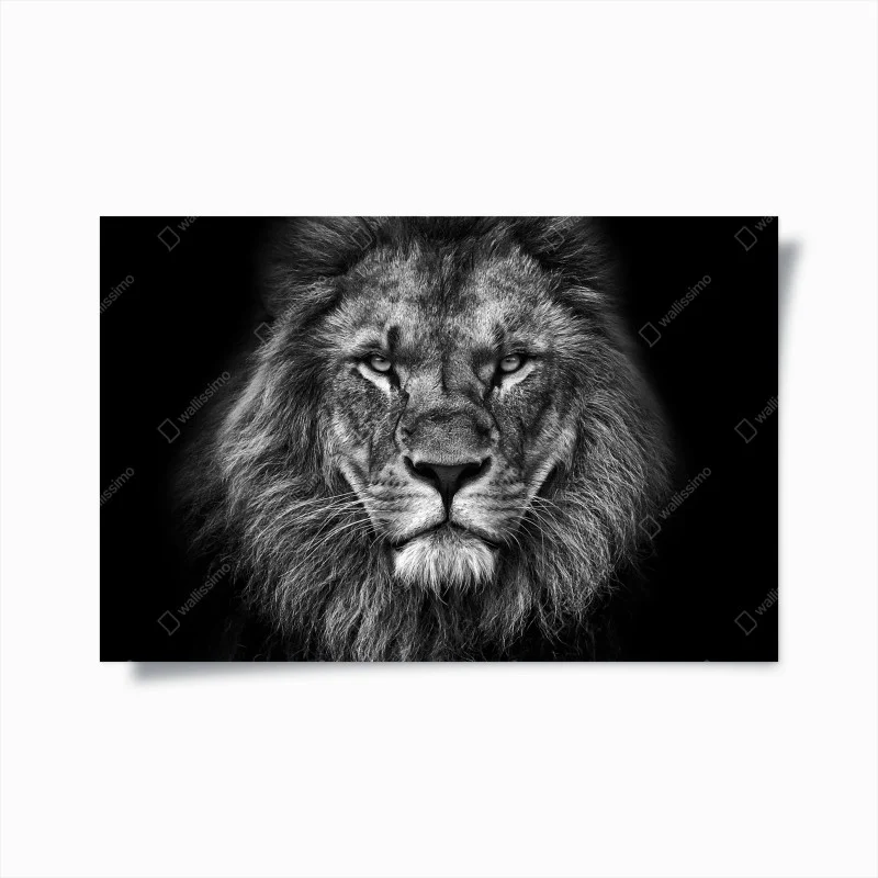 Posters – Wallnifity®