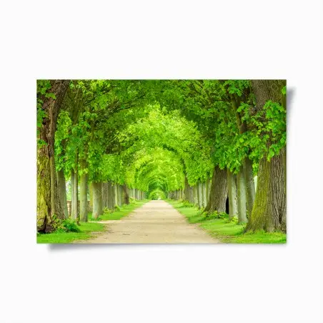 Poster allée verdoyante en perspective – Wallnifity®
