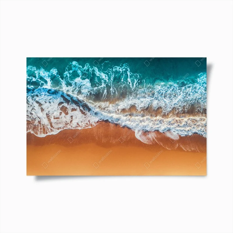 Posters – Wallnifity®