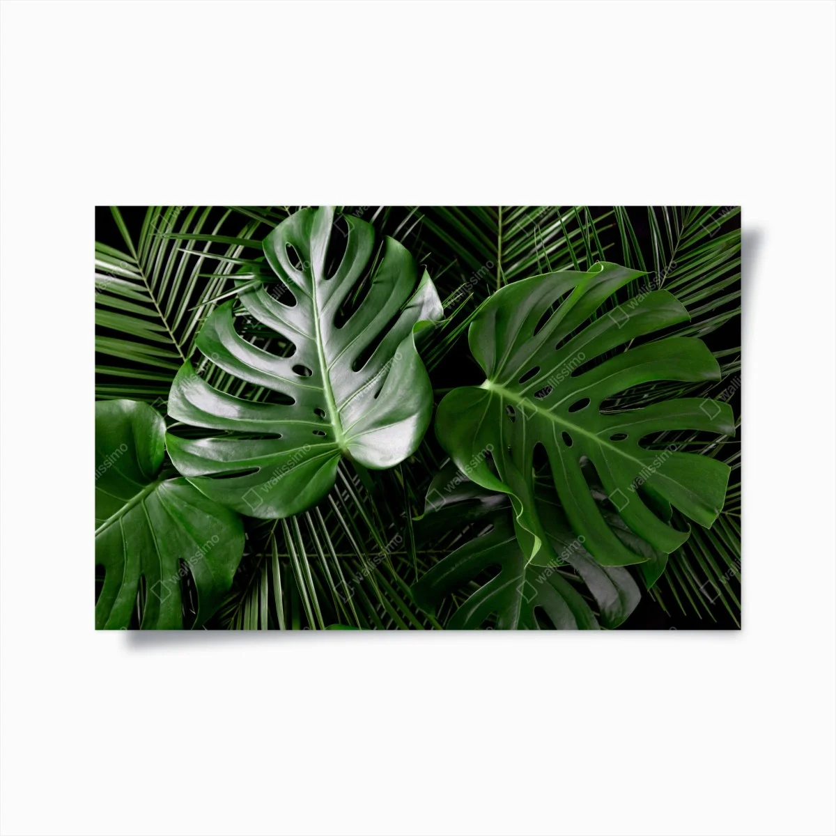 Poster motif feuilles tropicales luxuriantes – Wallnifity® Poster motif feuilles tropicales luxuriantes – Wallnifity®