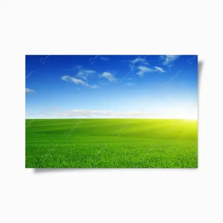 Poster horizon ensoleillé sur prairie verdoyante – Wallnifity®