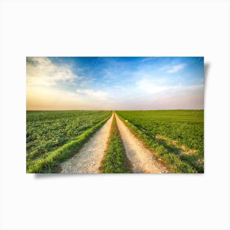 Posters – Wallnifity®