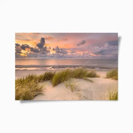 Poster coucher de soleil sur les dunes de Zélande – Wallnifity®