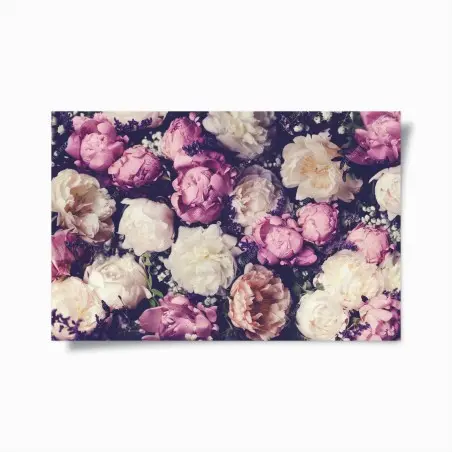 Poster composition de pivoines pastel et romantiques – Wallnifity®