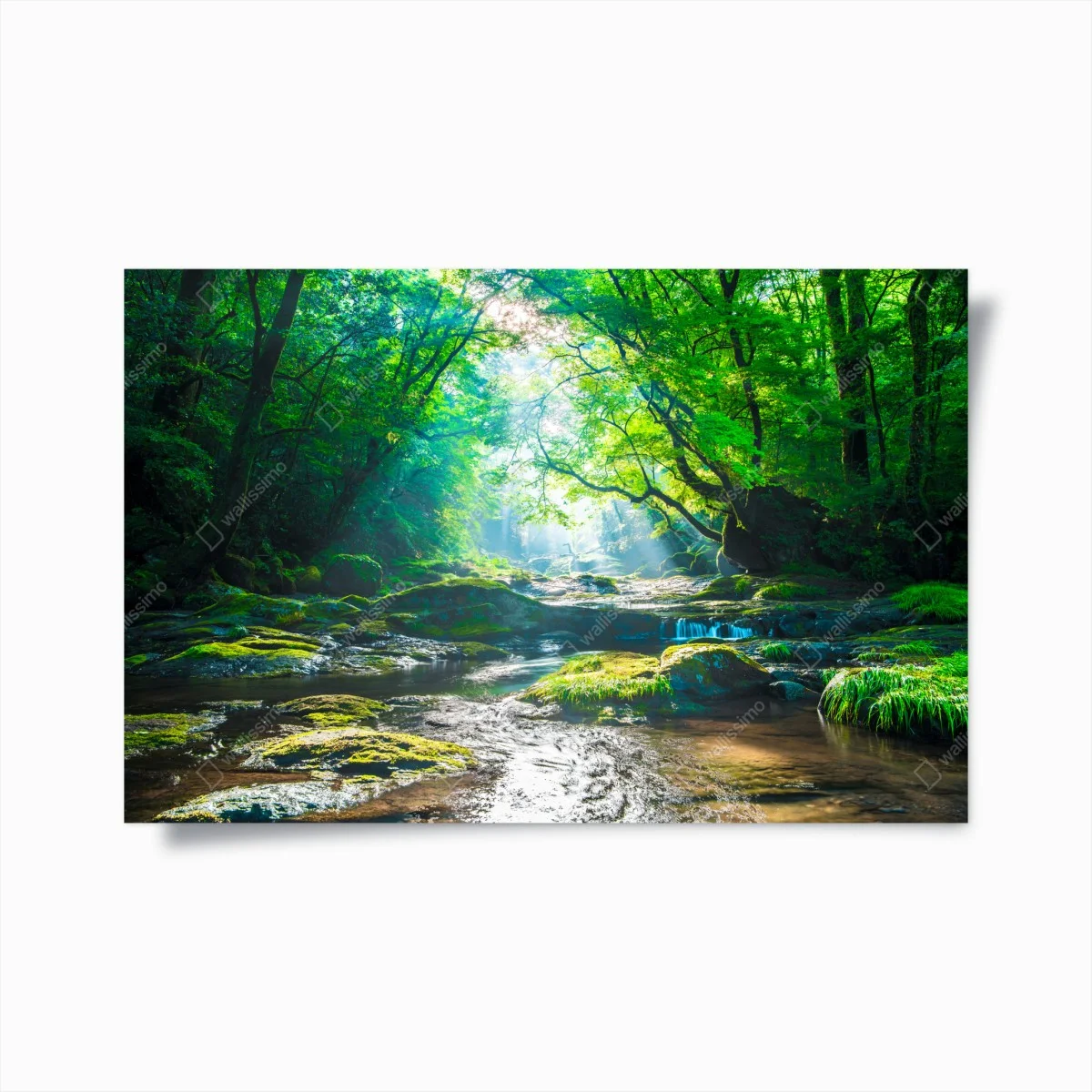 Poster clairière lumineuse au bord de la rivière – Wallnifity® Poster clairière lumineuse au bord de la rivière – Wallnifity®
