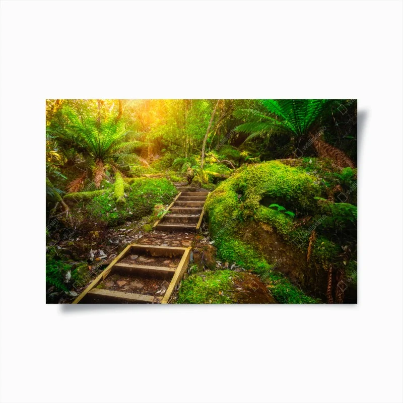 Jungle – Wallnifity®