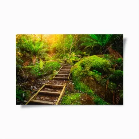 Poster sentier luxuriant dans la forêt jurassique de Tasmanie – Wallnifity®