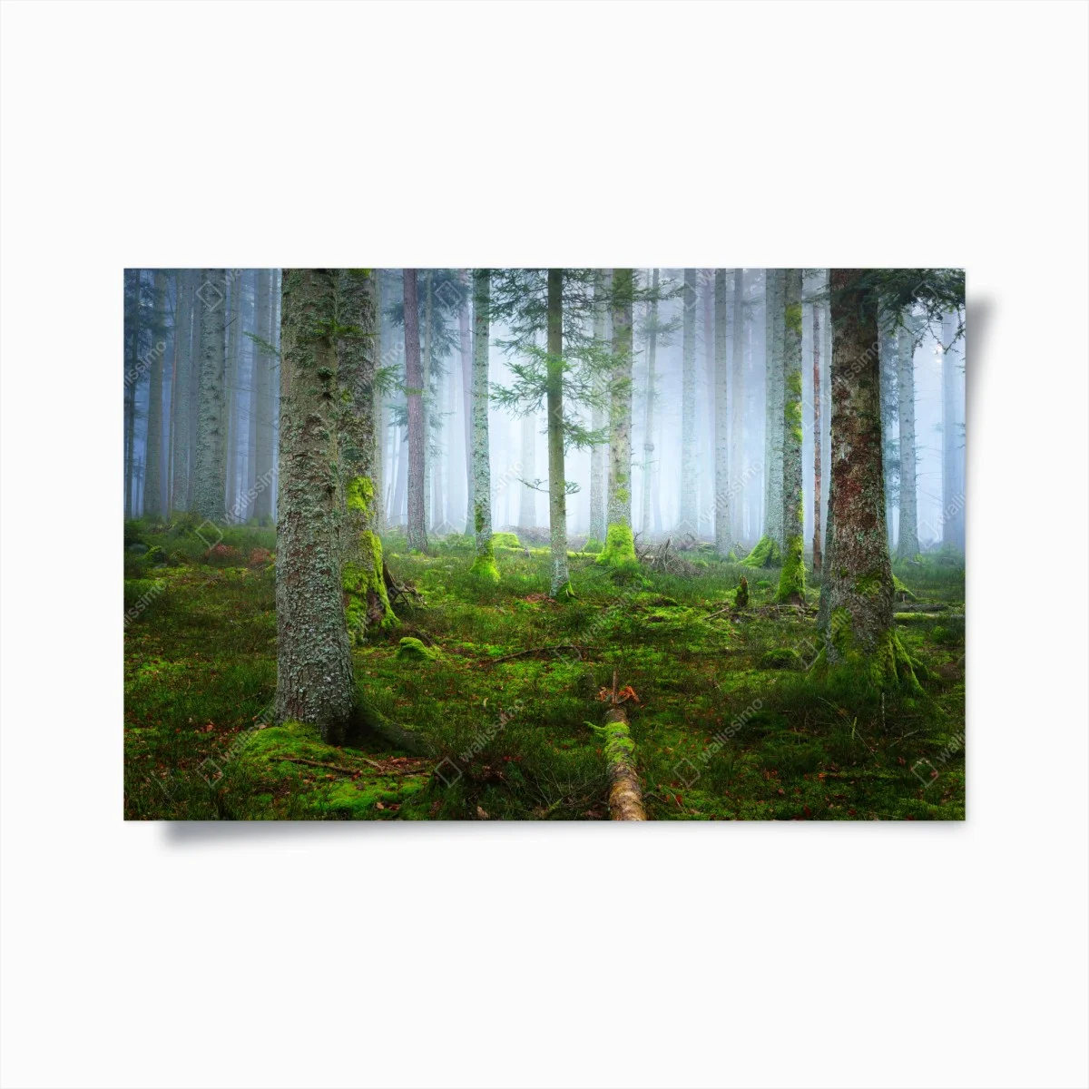 Poster brume mystique dans la forêt d'Alsace – Wallnifity® Poster brume mystique dans la forêt d'Alsace – Wallnifity®