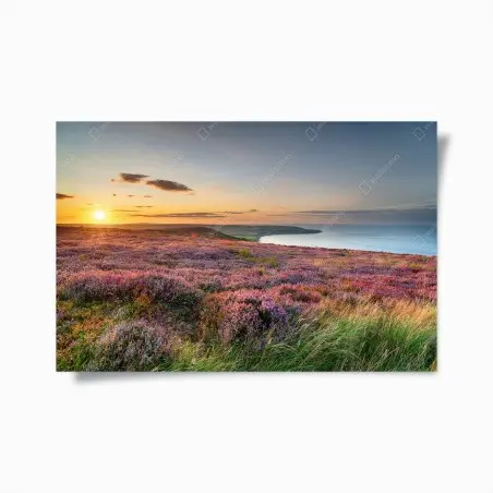 Poster coucher de soleil sur la bruyère des North York Moors, vue sur Robin Hood's Bay – Wallnifity®
