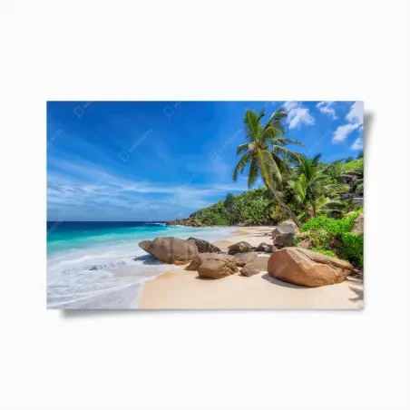 Poster plage paradisiaque aux palmiers et rochers granitiques – Wallnifity®