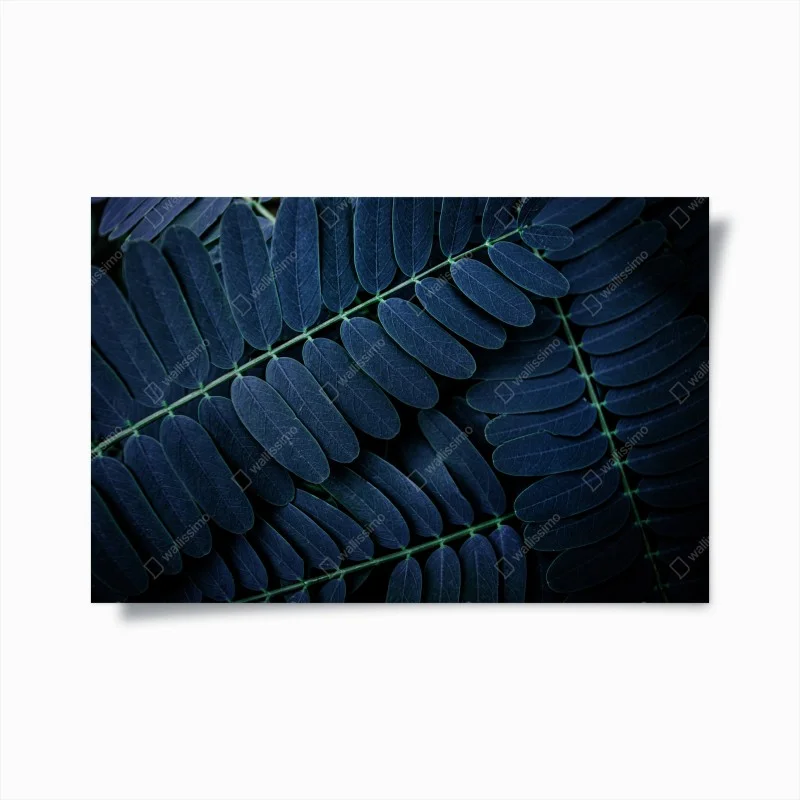 Posters – Wallnifity®