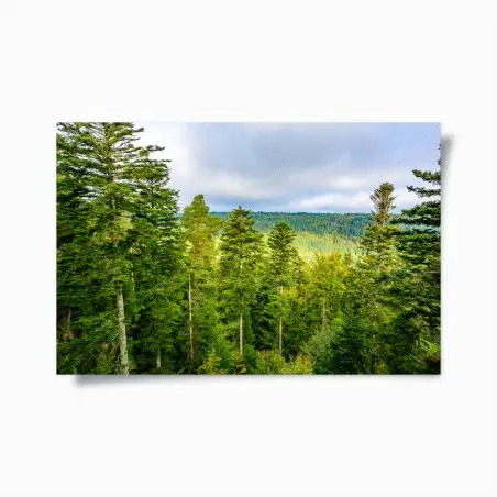 Poster paysage automnal de la Forêt-Noire – Wallnifity®