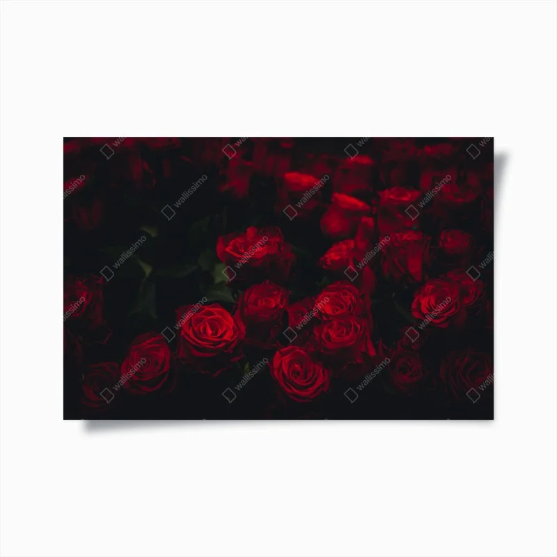 Chambre – Wallnifity®