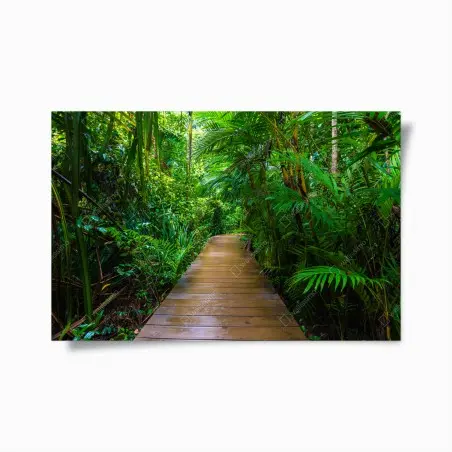Poster passerelle en mangrove, évasion verdoyante – Wallnifity®