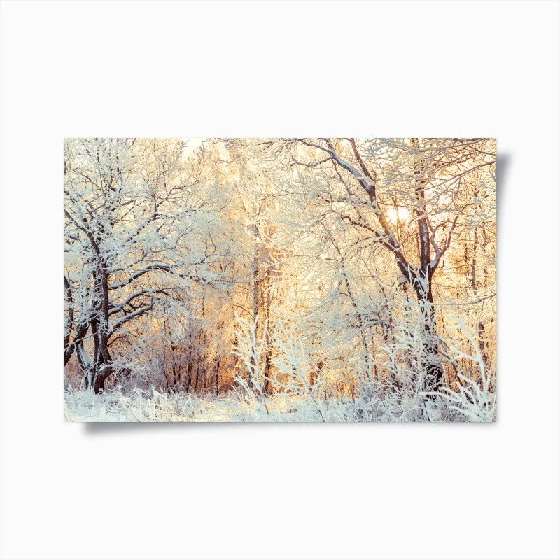 Forêts – Wallnifity®