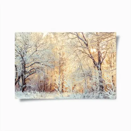 Poster forêt enneigée au soleil couchant – Wallnifity®
