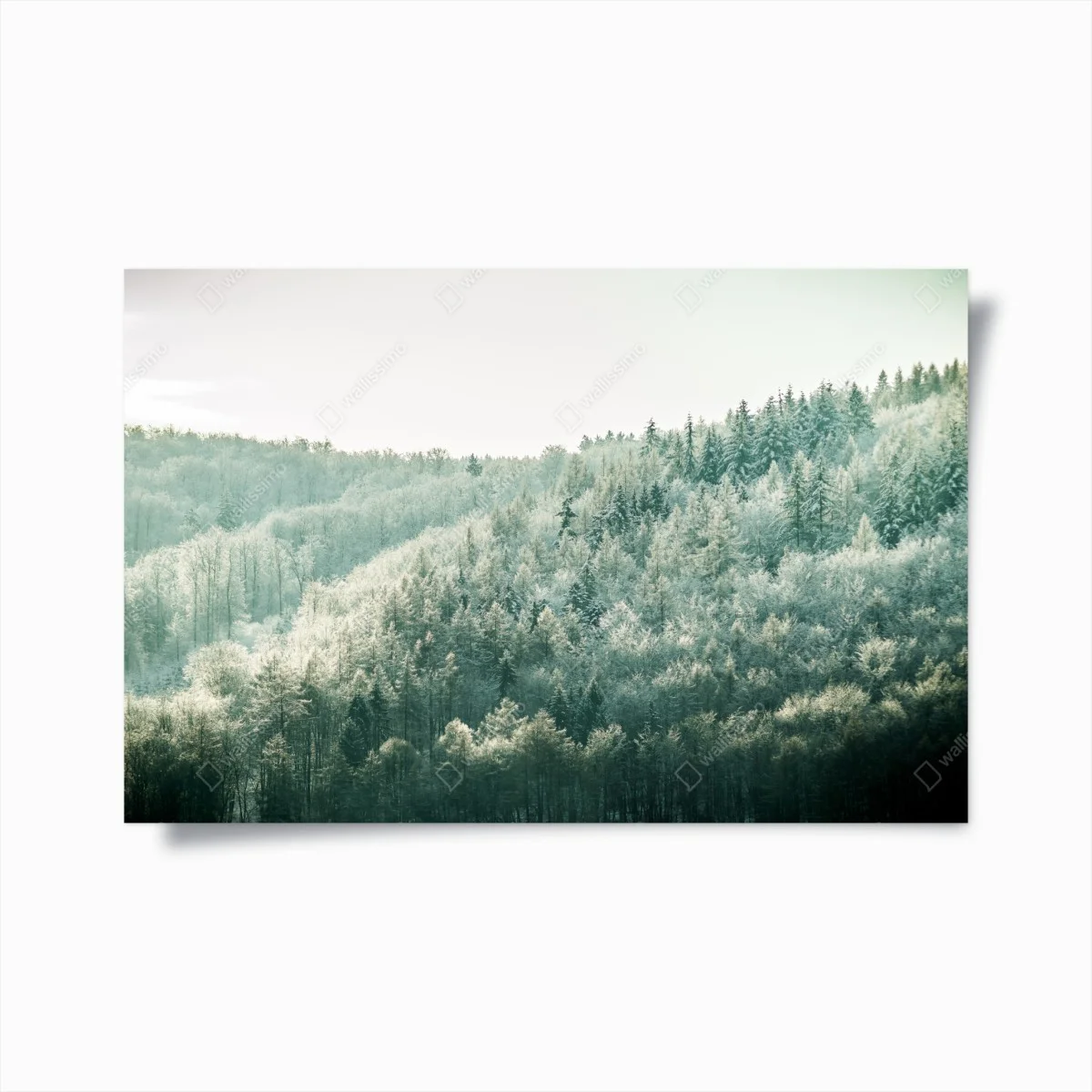 Poster forêt hivernale givrante à la lumière douce – Wallnifity® Poster forêt hivernale givrante à la lumière douce – Wallnifity®