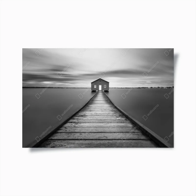 Posters – Wallnifity®