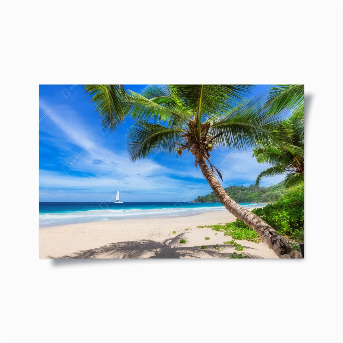 Poster plage tropicale au cocotier – Wallnifity® Poster plage tropicale au cocotier – Wallnifity®