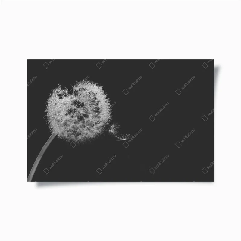 Chambre – Wallnifity®