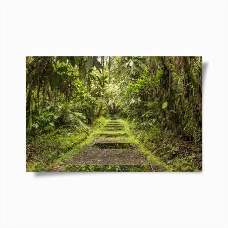 Poster sentier tropical verdoyant – Wallnifity®
