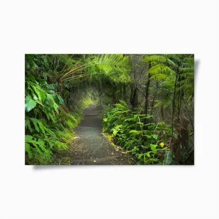 Poster forêt tropicale luxuriante sur le sentier Kilauea Iki – Wallnifity®