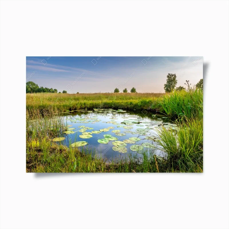 Poster étang de nénuphars et prairie sauvage – Wallnifity® Poster étang de nénuphars et prairie sauvage – Wallnifity®