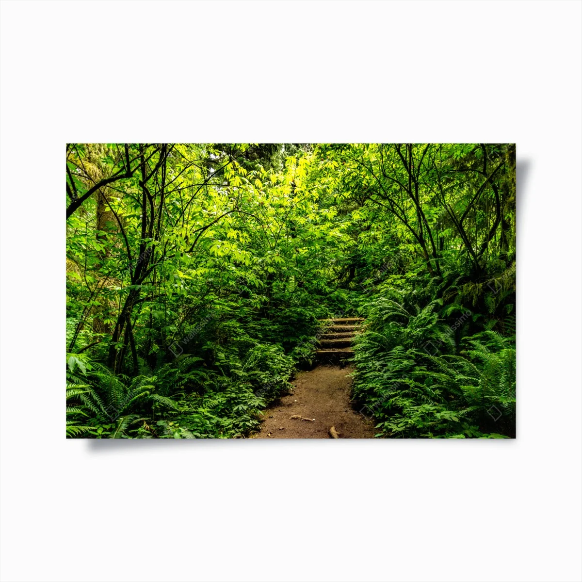 Poster promenade au cœur d'un sous-bois verdoyant – Wallnifity® Poster promenade au cœur d'un sous-bois verdoyant – Wallnifity®