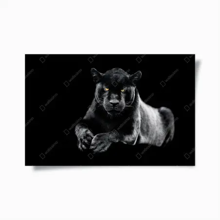 Poster regard perçant du jaguar noir – Wallnifity®
