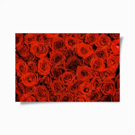 Poster motif de roses rouges pour décoration murale – Wallnifity®