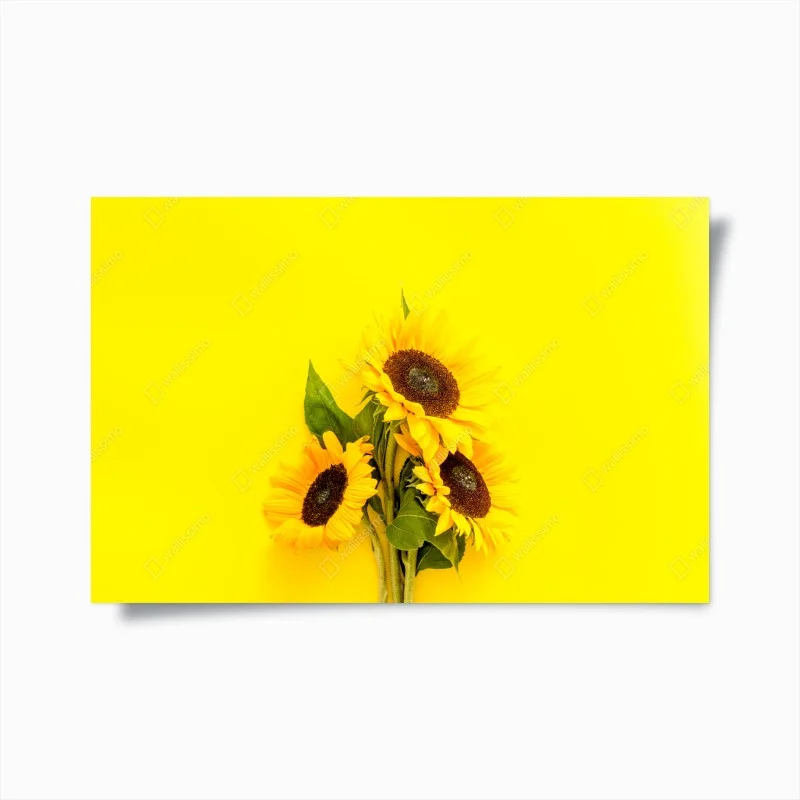 Cuisine – Wallnifity®