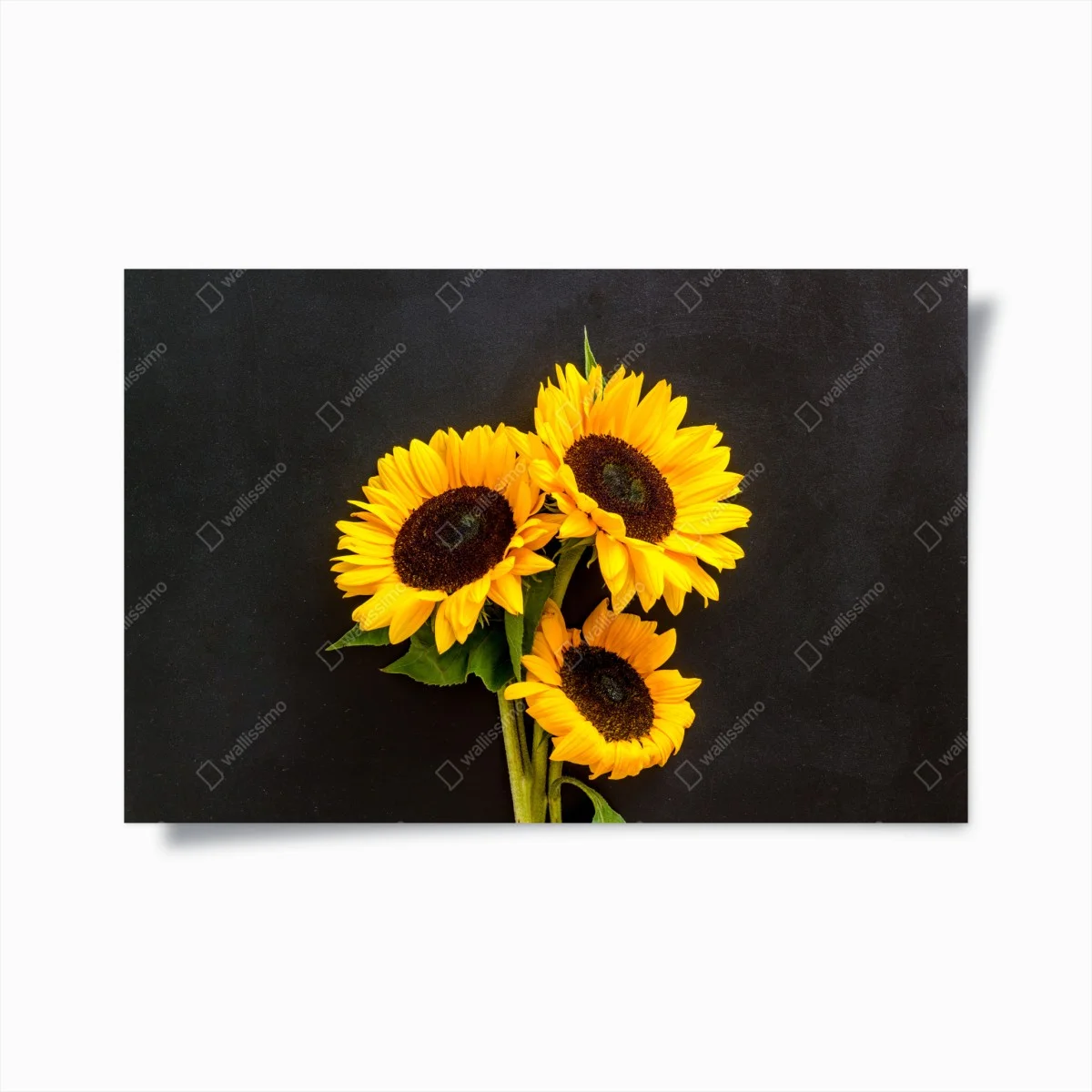 Poster bouquet lumineux de tournesols sur fond noir – Wallnifity® Poster bouquet lumineux de tournesols sur fond noir – Wallnifity®