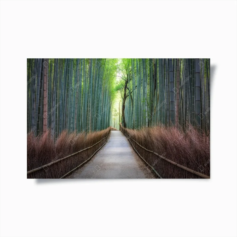 Forêts – Wallnifity®