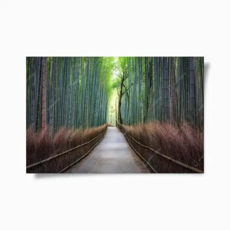 Poster allée de bambous sereine – Wallnifity®