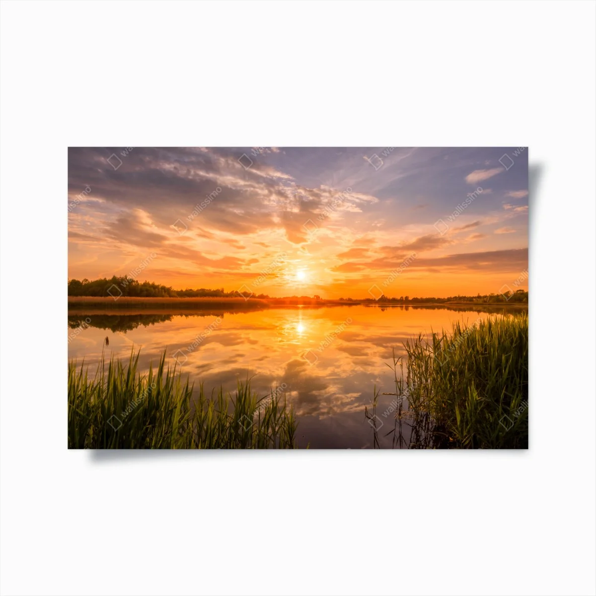 Poster coucher de soleil doré au-dessus du lac tranquille – Wallnifity® Poster coucher de soleil doré au-dessus du lac tranquille – Wallnifity®