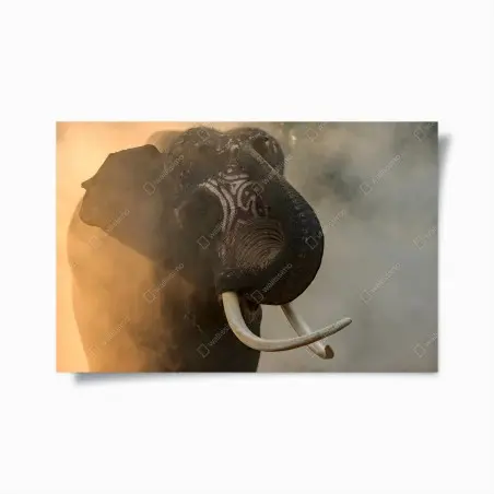 Poster éléphant de Surin aux défenses majestueuses – Wallnifity®