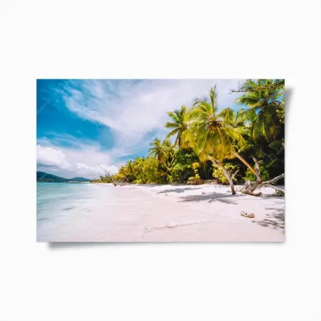 Poster plage tropicale ensoleillée bordée de palmiers – Wallnifity®