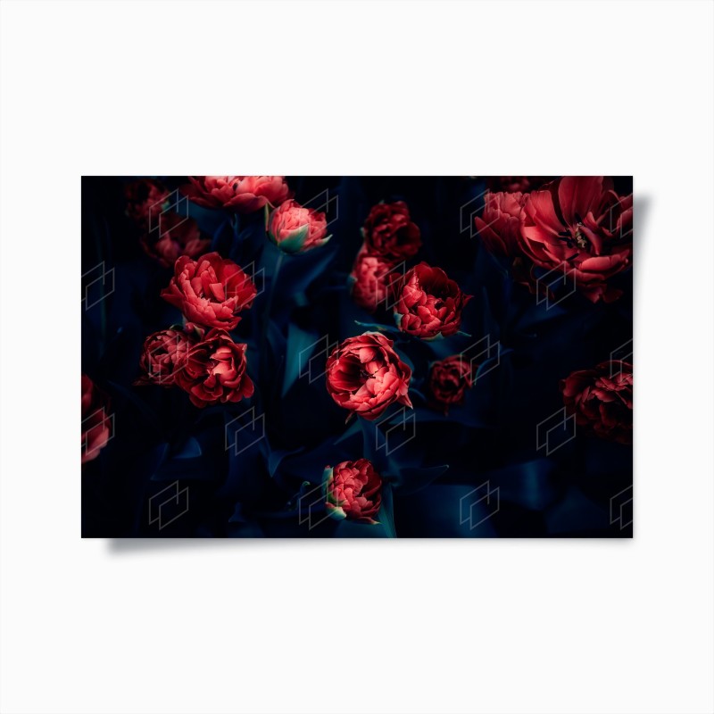 Jardins – Wallnifity®