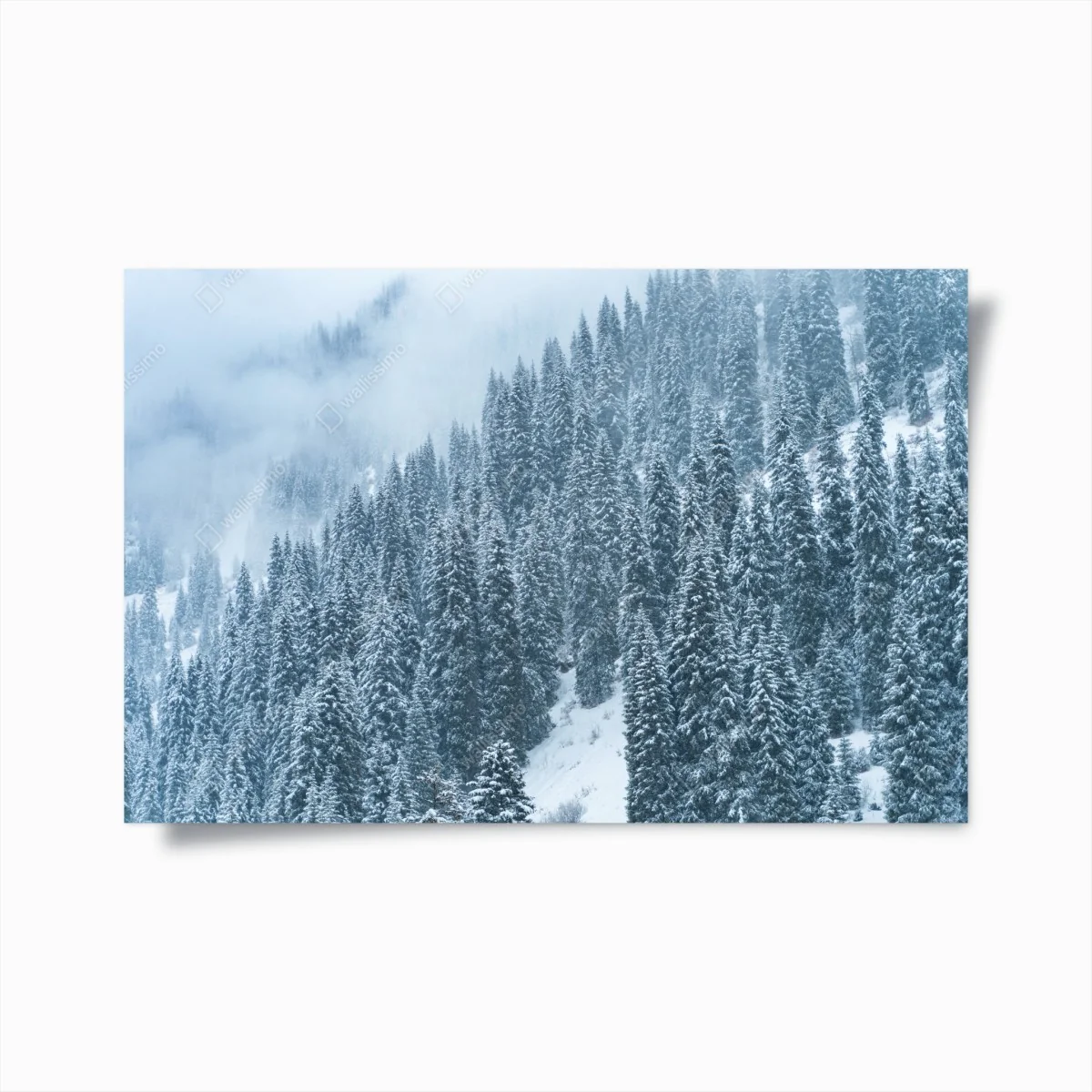 Poster forêt de sapins enneigée – Wallnifity® Poster forêt de sapins enneigée – Wallnifity®