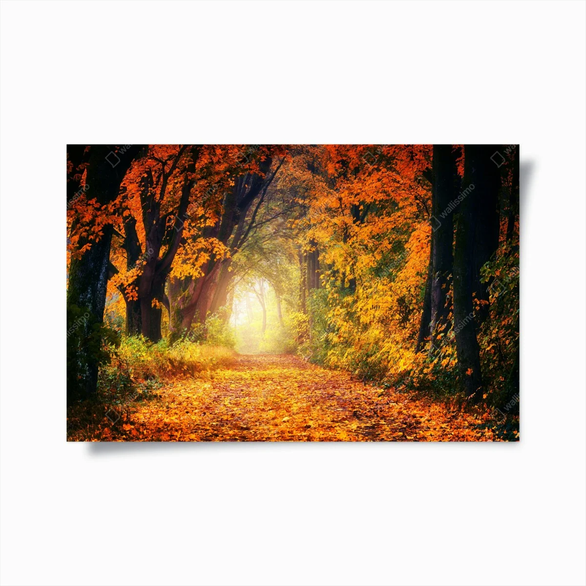 Poster allée d'automne baignée de lumière – Wallnifity® Poster allée d'automne baignée de lumière – Wallnifity®
