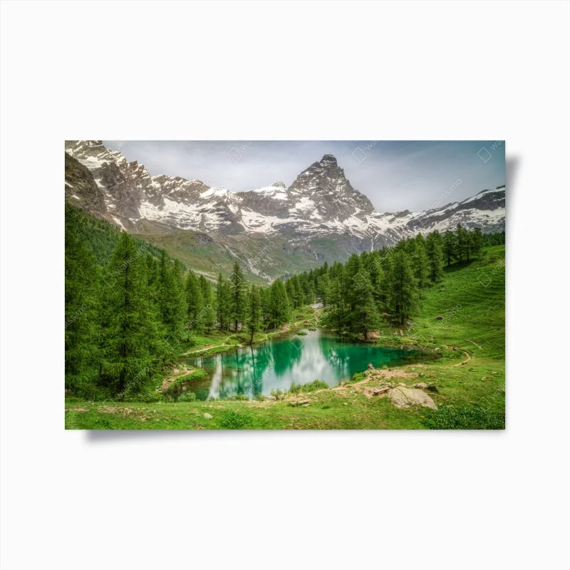 Posters – Wallnifity®