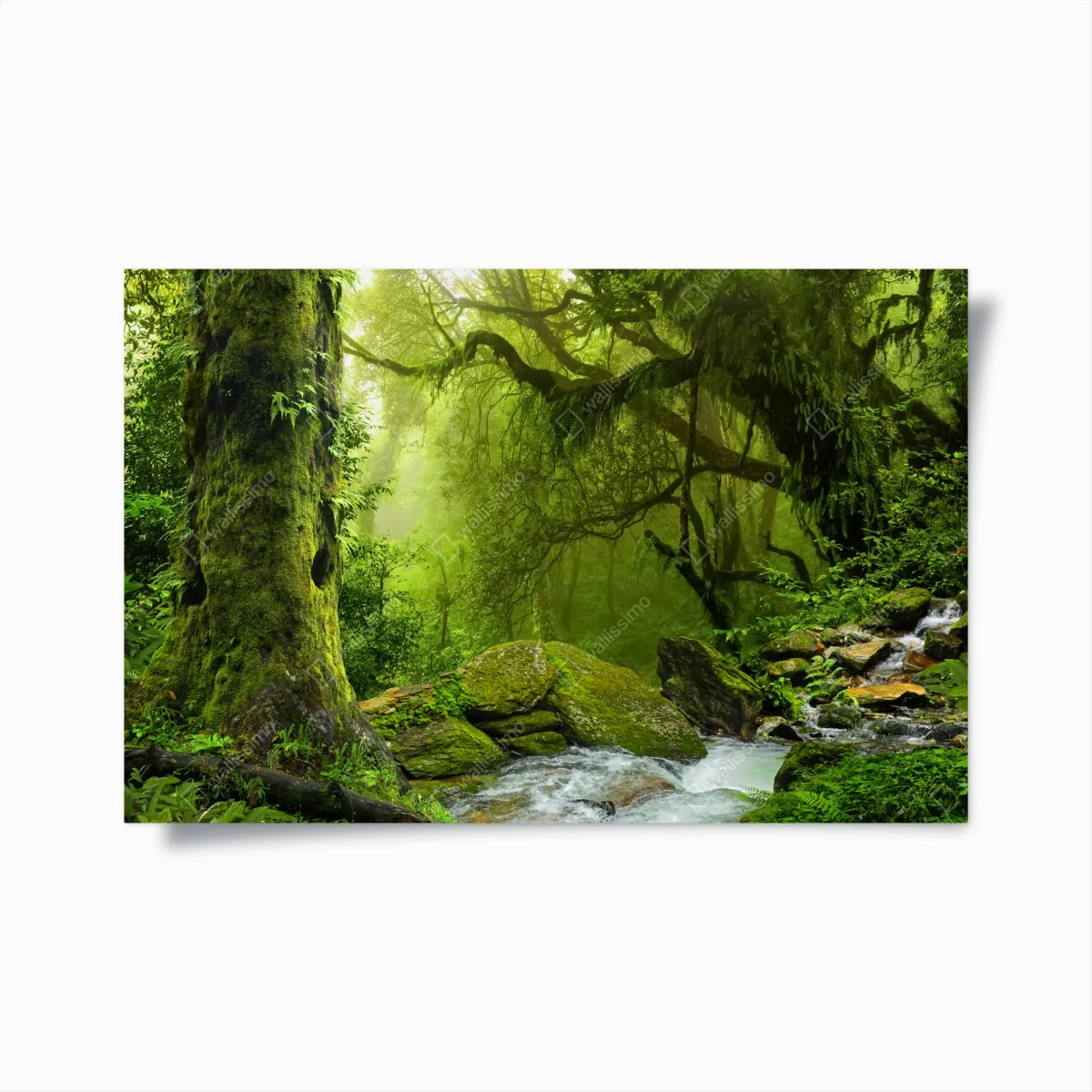 Poster forêt verdoyante au bord du ruisseau – Wallnifity® Poster forêt verdoyante au bord du ruisseau – Wallnifity®