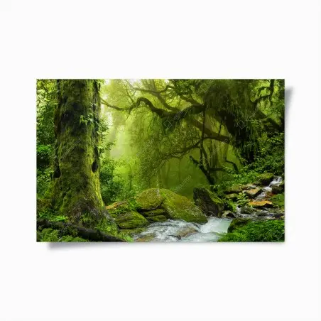 Poster forêt verdoyante au bord du ruisseau – Wallnifity®